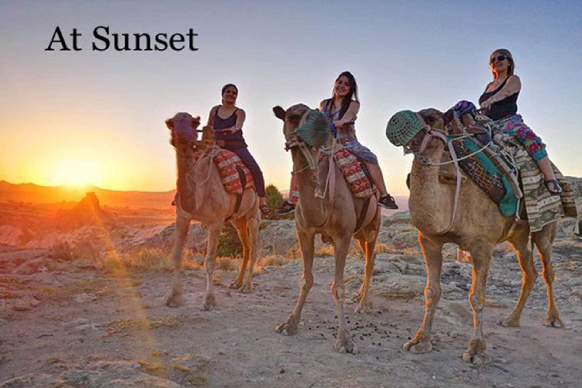 At Binme Turu Görsel 4