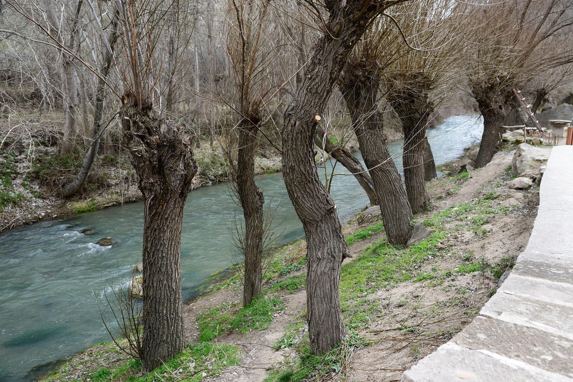 Yeşil Tur Görsel 1